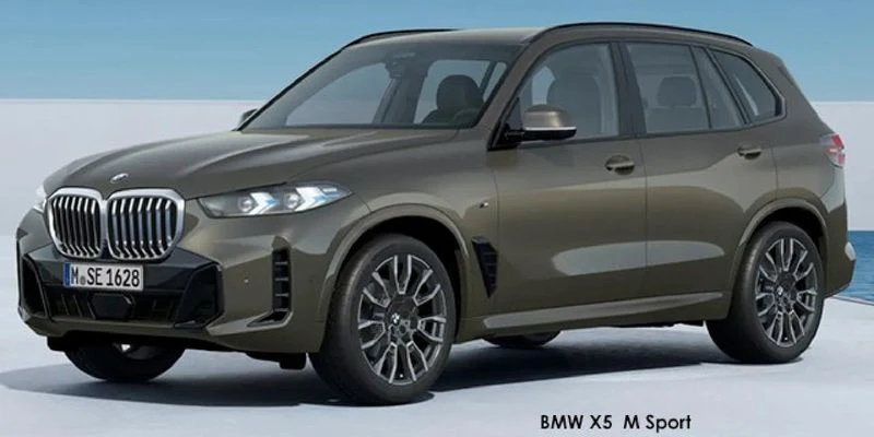BMW X5 Xdrive30d M Sport (g05)