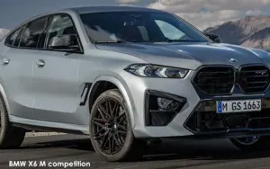 BMW X6 image 1