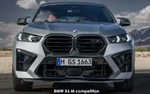 BMW X6 image 2