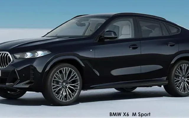 BMW X6