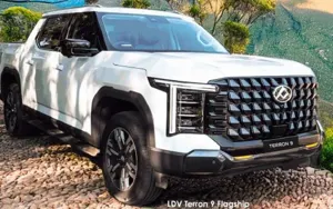 LDV Terron 9 image 1
