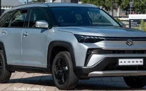 Suzuki Across image 3